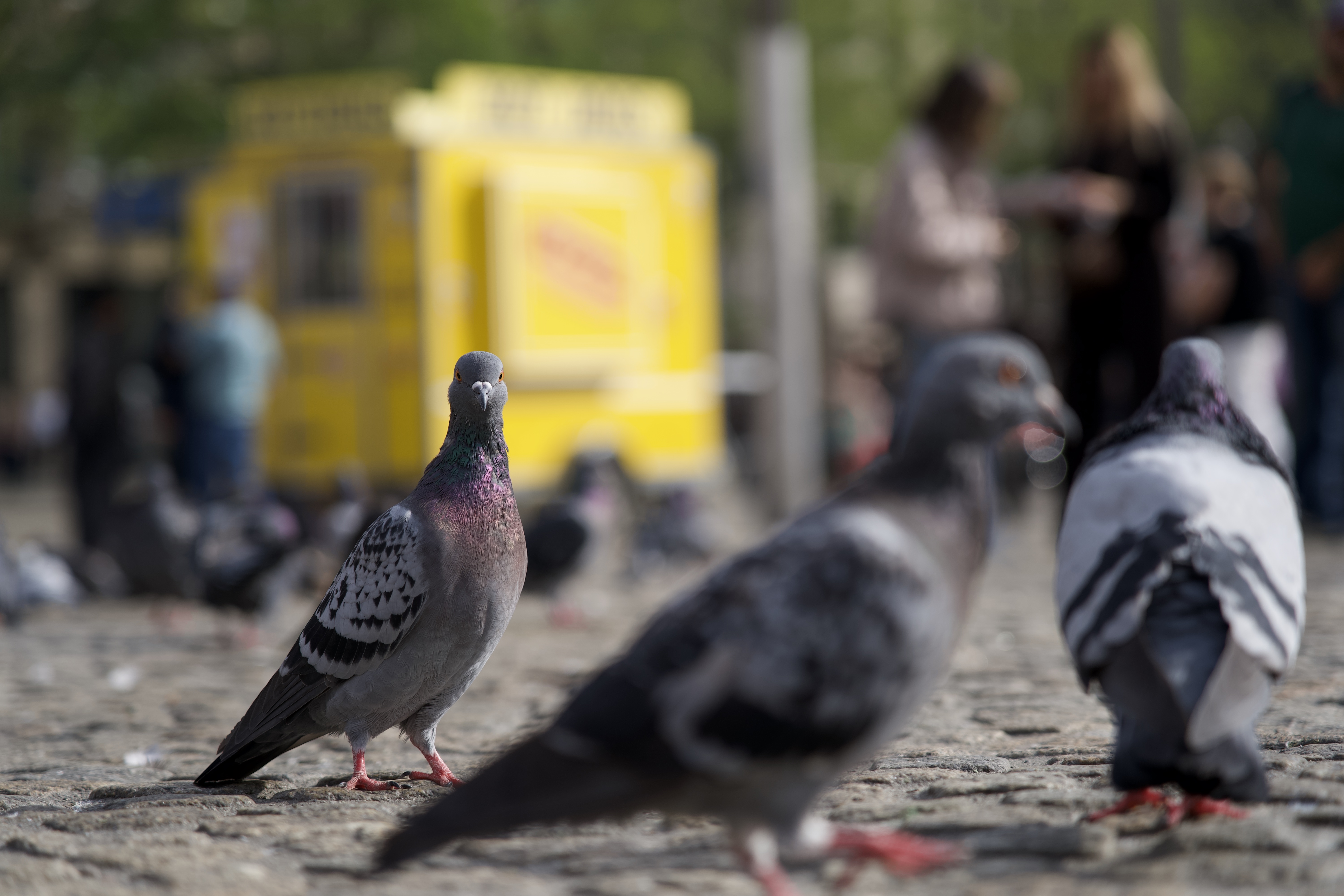 Tien keer hetzelfde